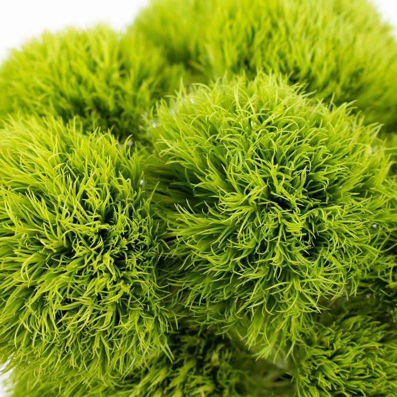 st patricks day flowers fresh greens to celebrate the season