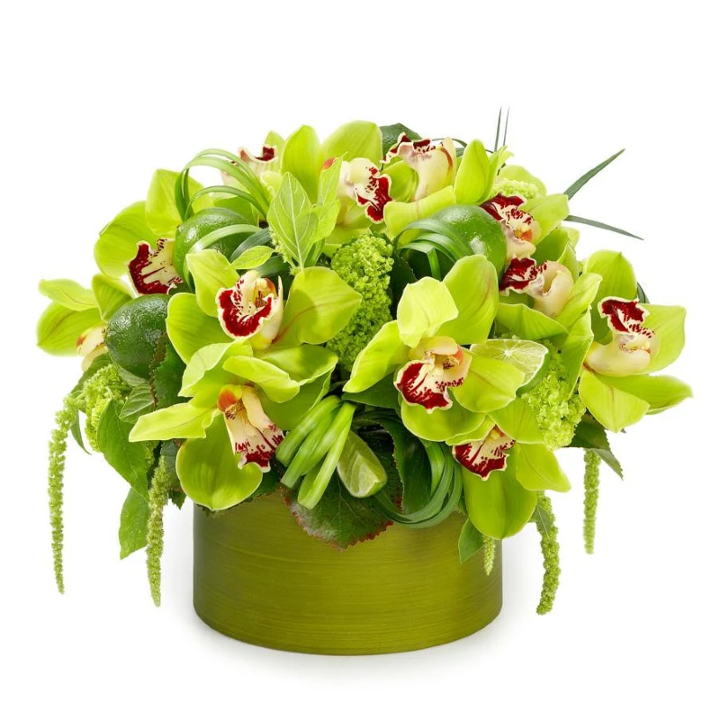 st patricks day flowers fresh greens to celebrate the season